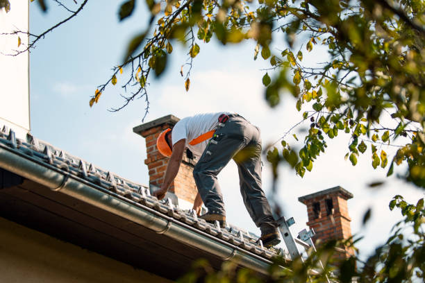 Best Storm Damage Roof Repair  in Laurel, FL