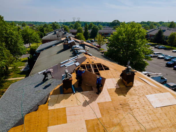 Best Commercial Roofing Services  in Laurel, FL