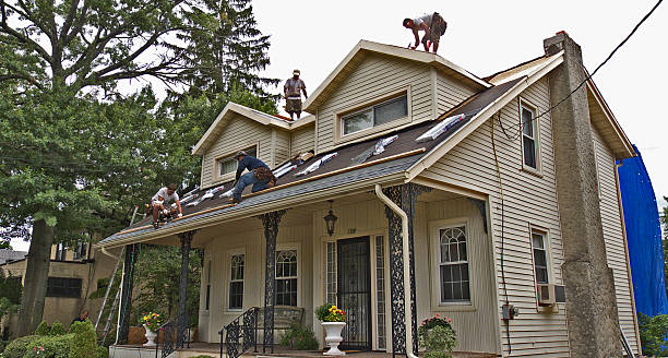 Quick and Trustworthy Emergency Roof Repair Services in Laurel, FL
